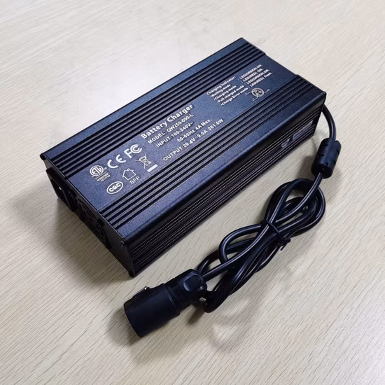 Factory Direct Sale DC 29.4V 100A 3600W Charger for 7s 24V 25.9V Li-ion/Lithium Polymer Battery